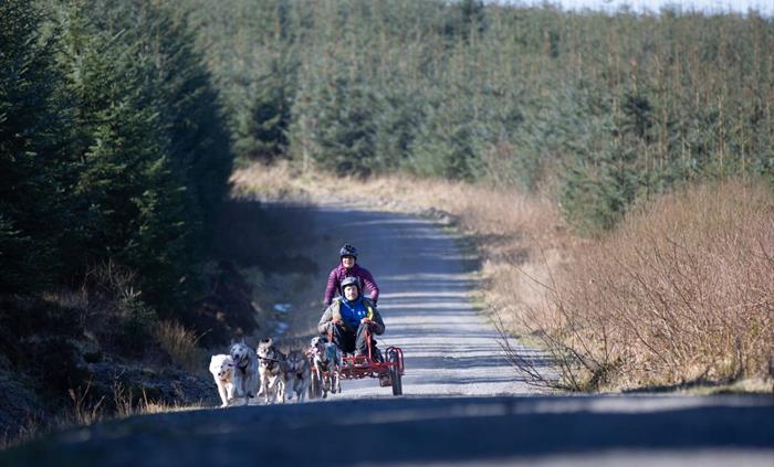Mynydd Sleddog Adventures